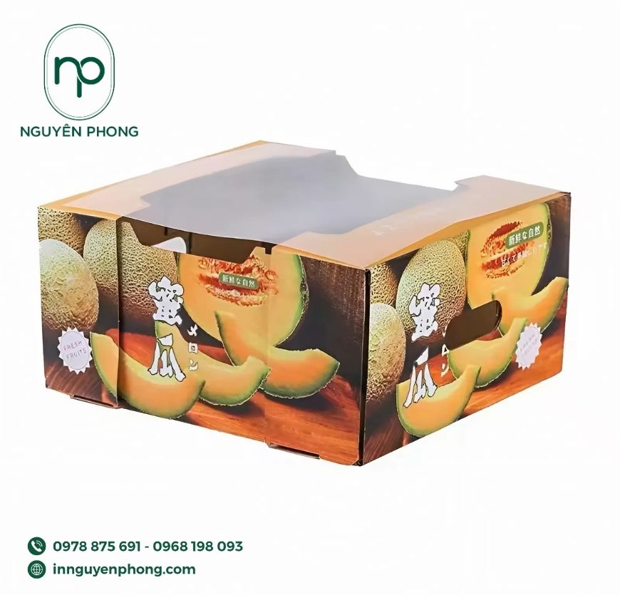 mau-hop-giay-dung-dua-luoi-can-mang-mica-2